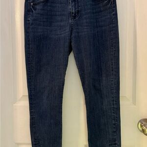 Loft modern skinny buttons at the ankle Classic Blue Women's Jeans 8/29
